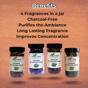 Holycone Organic Incense Dry Dhoop Cone