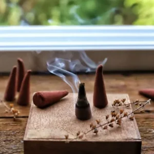 Holycone Organic Incense Dry Dhoop Cone